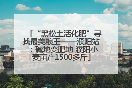 “黑松土活化肥”寻找最美粮王——濮阳站：碱地变肥地 濮阳小麦亩产1500多斤