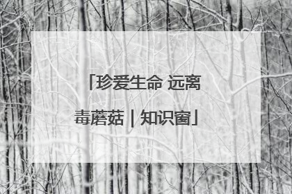 珍爱生命 远离毒蘑菇｜知识窗