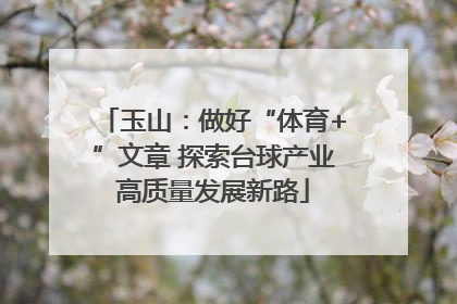 玉山：做好“体育+”文章 探索台球产业高质量发展新路