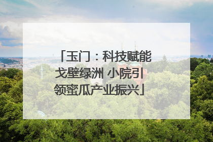 玉门：科技赋能戈壁绿洲 小院引领蜜瓜产业振兴