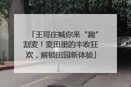 王哥庄喊你来“趣”割麦！麦田里的丰收狂欢，解锁田园新体验