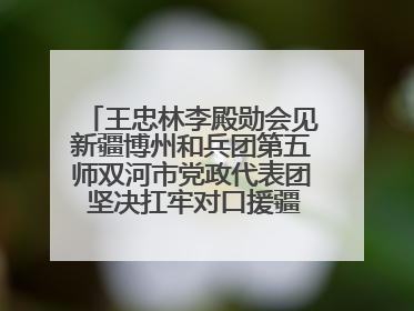 王忠林李殿勋会见新疆博州和兵团第五师双河市党政代表团 坚决扛牢对口援疆重大政治责任 推动双方实现优势互补务实合作