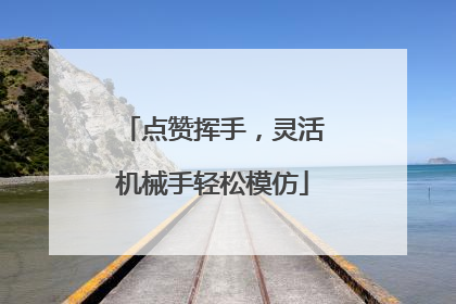 点赞挥手，灵活机械手轻松模仿
