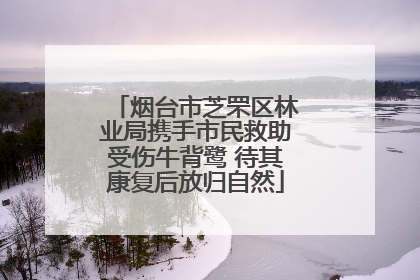 烟台市芝罘区林业局携手市民救助受伤牛背鹭 待其康复后放归自然