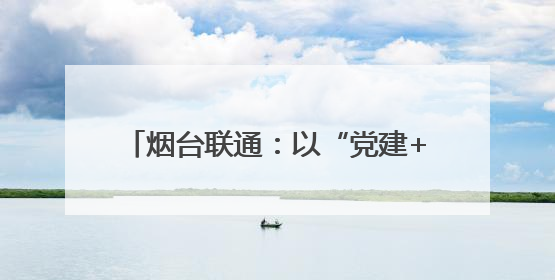 烟台联通：以“党建+服务”模式开展“联通服务日”主题党日活动