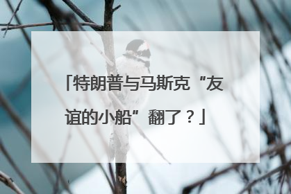 特朗普与马斯克“友谊的小船”翻了？