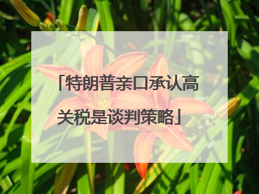 特朗普亲口承认高关税是谈判策略