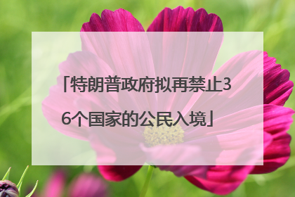 特朗普政府拟再禁止36个国家的公民入境
