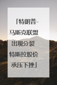 特朗普-马斯克联盟出现分裂 特斯拉股价承压下挫