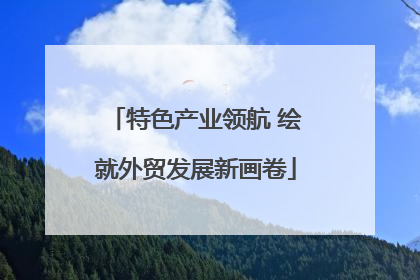 特色产业领航 绘就外贸发展新画卷