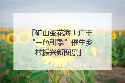 矿山变花海！广丰“三色引擎”催生乡村振兴新图景
