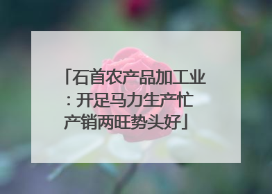 石首农产品加工业：开足马力生产忙 产销两旺势头好