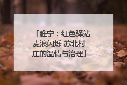 睢宁：红色驿站麦浪闪烁 苏北村庄的温情与治理