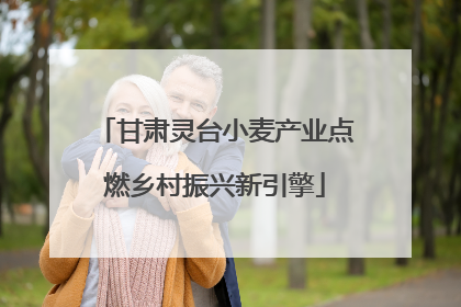 甘肃灵台小麦产业点燃乡村振兴新引擎