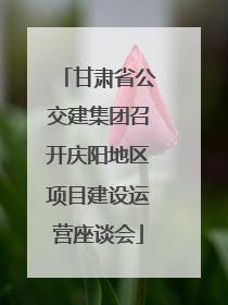 甘肃省公交建集团召开庆阳地区项目建设运营座谈会