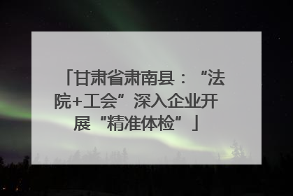 甘肃省肃南县：“法院+工会”深入企业开展“精准体检”
