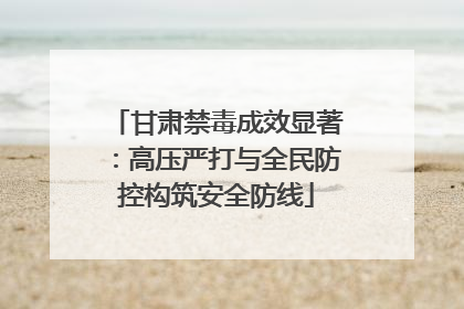 甘肃禁毒成效显著：高压严打与全民防控构筑安全防线