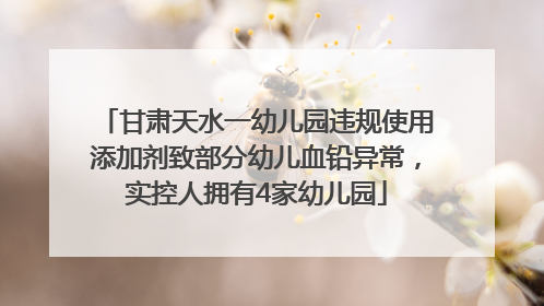 甘肃天水一幼儿园违规使用添加剂致部分幼儿血铅异常，实控人拥有4家幼儿园