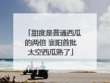 甜度是普通西瓜的两倍 襄阳首批太空西瓜熟了