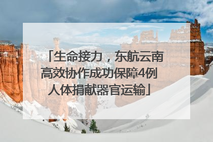 生命接力，东航云南高效协作成功保障4例人体捐献器官运输