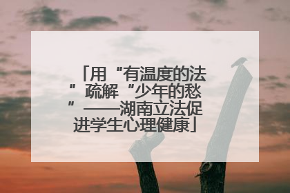 用“有温度的法”疏解“少年的愁”——湖南立法促进学生心理健康