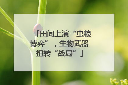 田间上演“虫粮博弈”，生物武器扭转“战局”