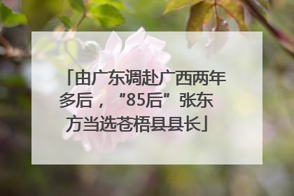 由广东调赴广西两年多后，“85后”张东方当选苍梧县县长