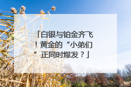 白银与铂金齐飞！黄金的“小弟们”正同时爆发？