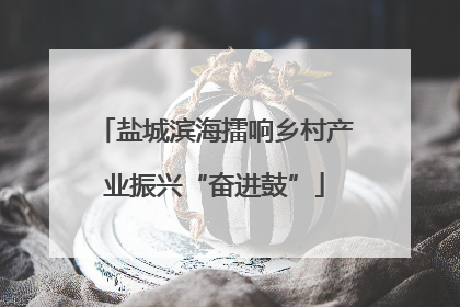 盐城滨海擂响乡村产业振兴“奋进鼓”