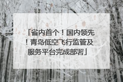 省内首个！国内领先！青岛低空飞行监管及服务平台完成部署