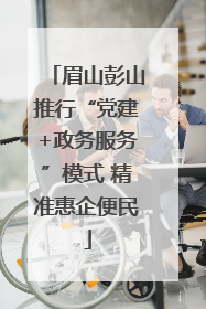 眉山彭山推行“党建+政务服务”模式 精准惠企便民