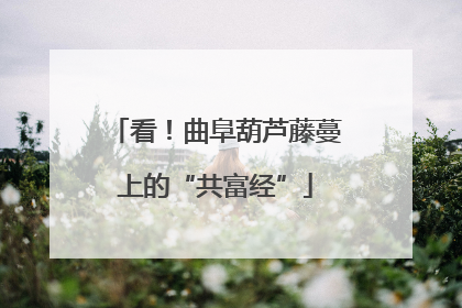 看！曲阜葫芦藤蔓上的“共富经”