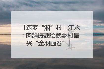 筑梦“湘”村｜江永：肉鸽振翅绘就乡村振兴“金羽画卷”
