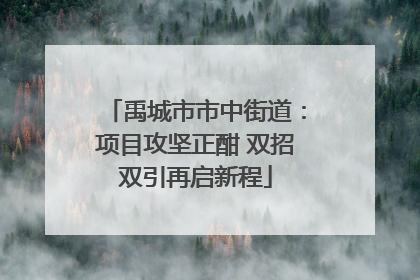 禹城市市中街道：项目攻坚正酣 双招双引再启新程