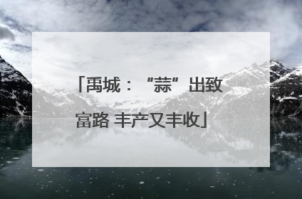 禹城：“蒜”出致富路 丰产又丰收