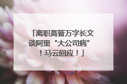 离职高管万字长文谈阿里“大公司病”！马云回应！