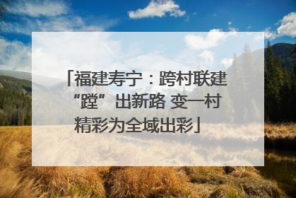 福建寿宁：跨村联建“蹚”出新路 变一村精彩为全域出彩