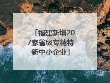 福建新增207家省级专精特新中小企业