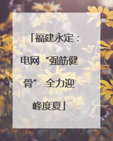 福建永定：电网“强筋健骨” 全力迎峰度夏