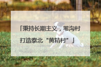 秉持长期主义，苇沟村打造泰北“黄精村”