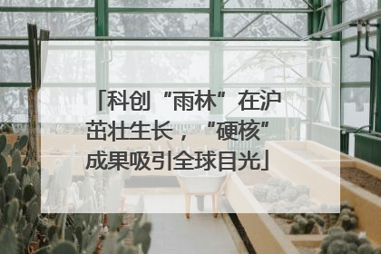 科创“雨林”在沪茁壮生长，“硬核”成果吸引全球目光