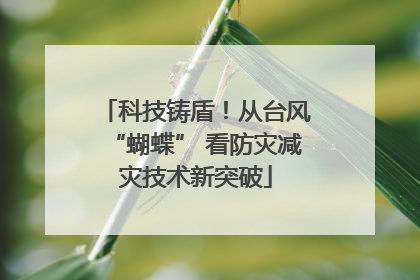 科技铸盾！从台风“蝴蝶” 看防灾减灾技术新突破