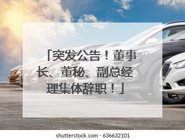 突发公告！董事长、董秘、副总经理集体辞职！