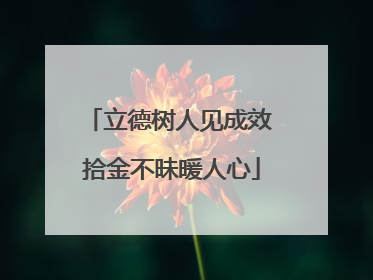 立德树人见成效 拾金不昧暖人心