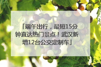 端午出行，最短15分钟直达热门景点！武汉新增12台公交定制车