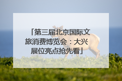 第三届北京国际文旅消费博览会：大兴展位亮点抢先看