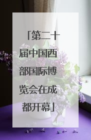 第二十届中国西部国际博览会在成都开幕