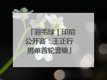 羽毛球｜印尼公开赛：王正行男单首轮晋级