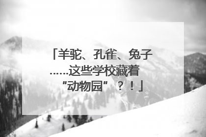 羊驼、孔雀、兔子……这些学校藏着 “动物园”？！