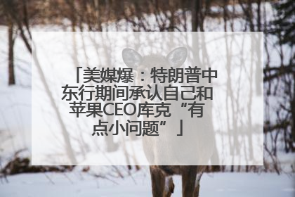 美媒爆：特朗普中东行期间承认自己和苹果CEO库克“有点小问题”
